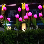 Garden Stake Light Solar LED Tulip 300 Lumens
