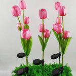 Garden Stake Light Solar LED Tulip 300 Lumens