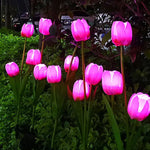 Garden Stake Light Solar LED Tulip 300 Lumens
