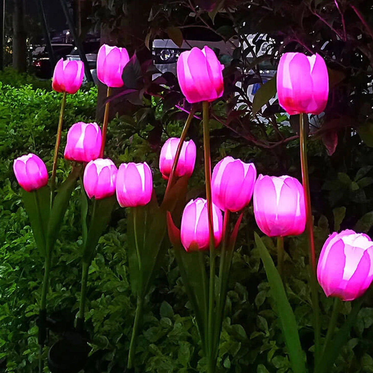 Garden Stake Light Solar LED Tulip 300 Lumens