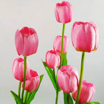 Garden Stake Light Solar LED Tulip 300 Lumens