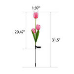 Garden Stake Light Solar LED Tulip 300 Lumens