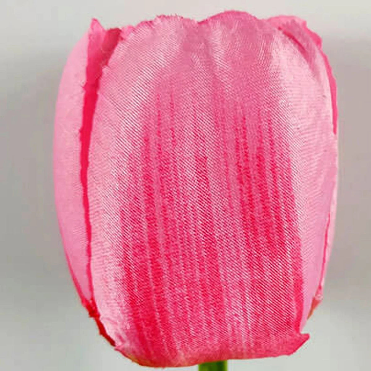 Garden Stake Light Solar LED Tulip 300 Lumens
