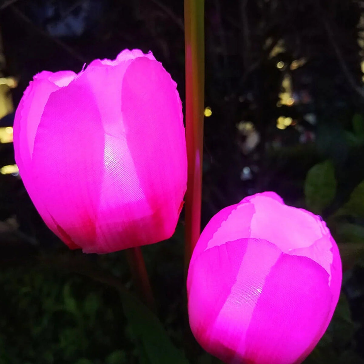Garden Stake Light Solar LED Tulip 300 Lumens