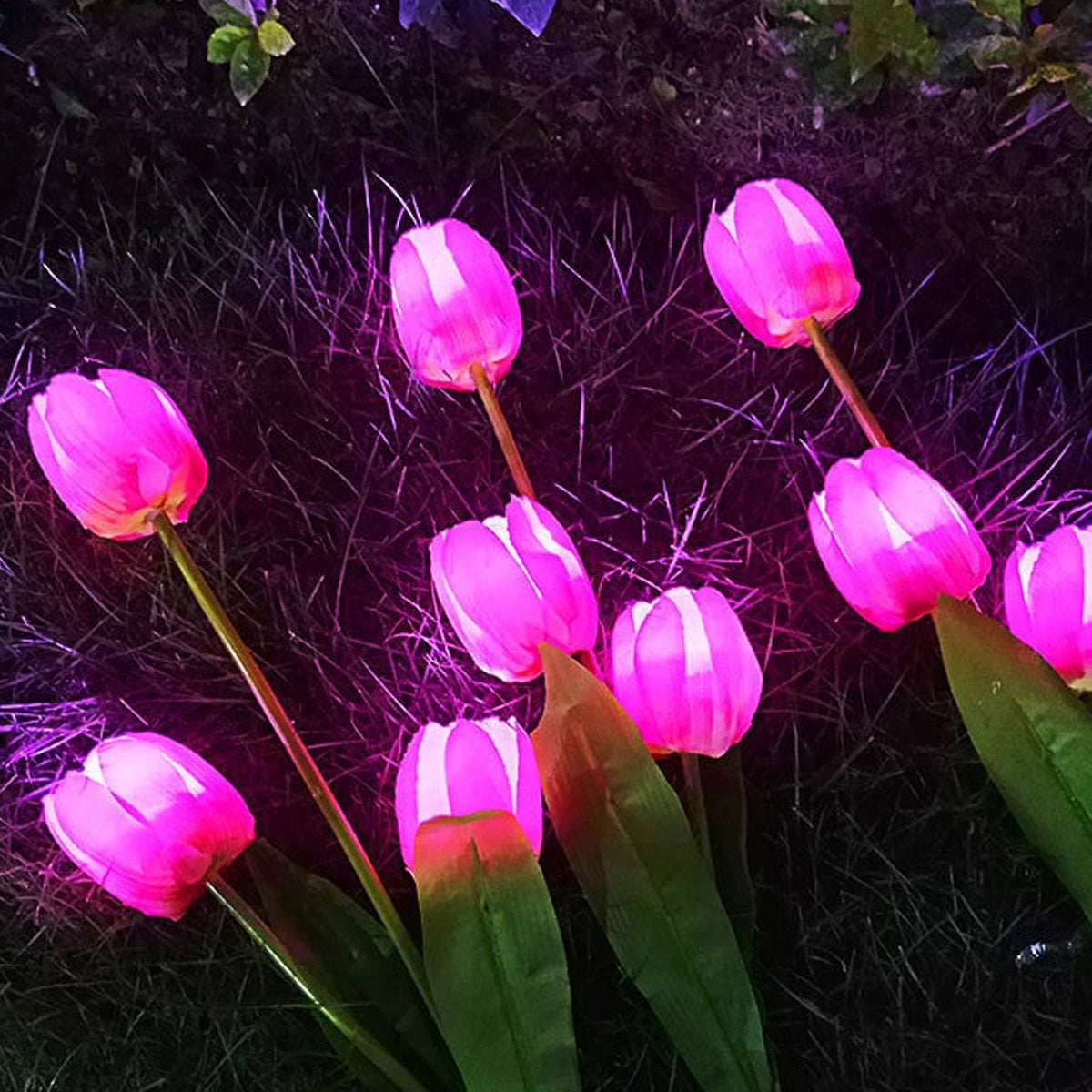 Garden Stake Light Solar LED Tulip 300 Lumens