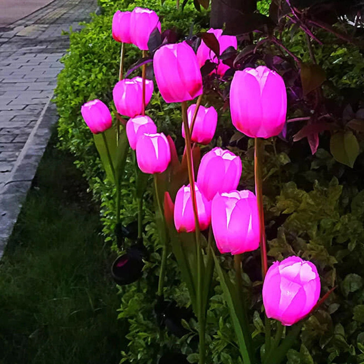 Garden Stake Light Solar LED Tulip 300 Lumens