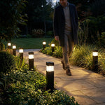 Garden Stake Lights Solar-Powered Automatic Dusk Activation