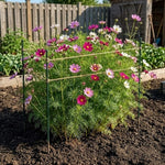 Garden Twine Jute Biodegradable 2-Pack