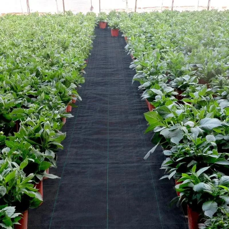 Garden Weed Barrier Water-Permeable & Weather-Resistant