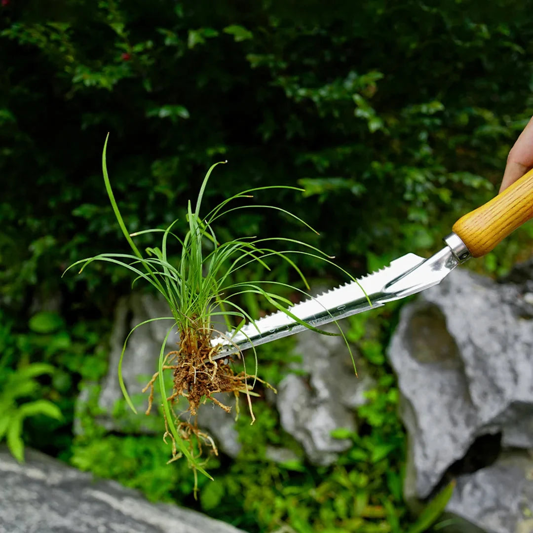 Garden Weed Puller 5-in-1 Stainless Steel Depth-Marked Beech Handle