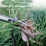 Garden Weed Remover 4-Pronged Steel Ergonomic Handle