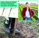 Garden Weed Remover 4-Pronged Steel Ergonomic Handle