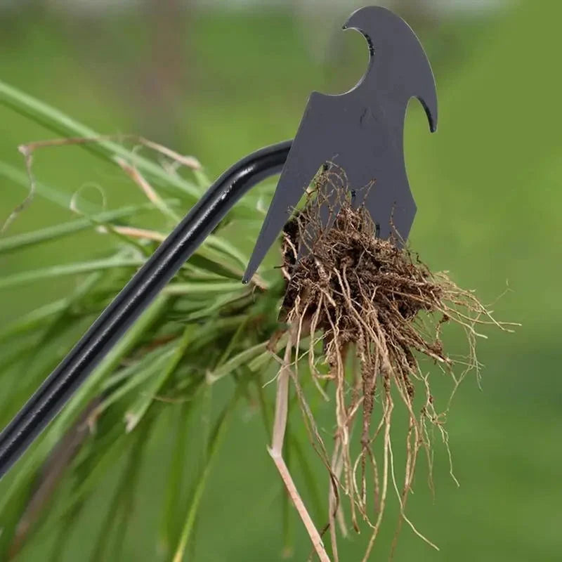 Garden Weeder 4-Prong Corrosion-Resistant Steel Ergonomic Handle