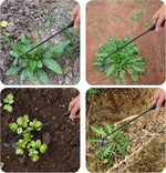 Garden Weeder 4-Tine Anti-Rust Steel