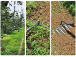 Garden Weeder Carbon Steel Multi-Point Head Ergonomic Non-Slip Handle