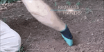 Gardening Gloves Built-In Claws Waterproof Puncture-Resistant