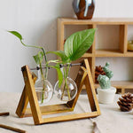 Glass Terrarium Wooden Frame Hydroponic Vase