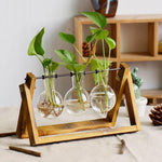 Glass Terrarium Wooden Frame Hydroponic Vase