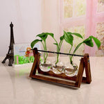 Glass Terrarium Wooden Frame Hydroponic Vase