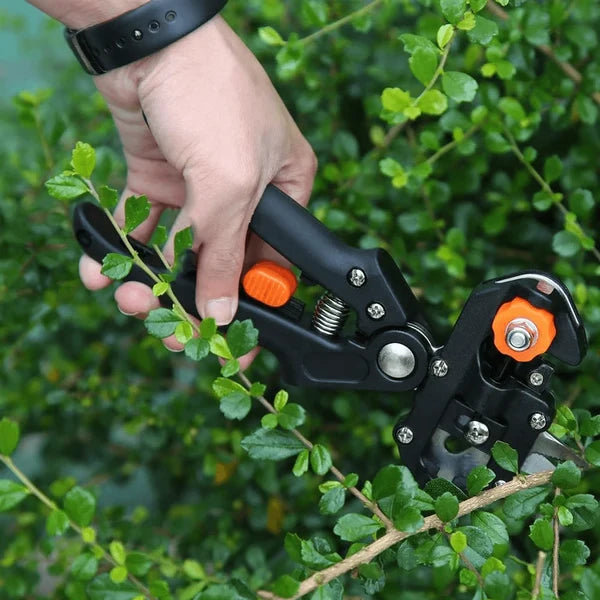 Grafting & Pruning Tool SK5 Steel Interchangeable Blades
