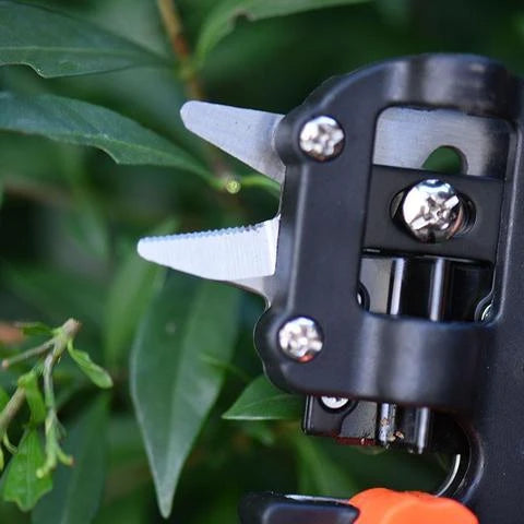 Grafting Scissors Stainless Steel Precision Blade & Ergonomic Handle