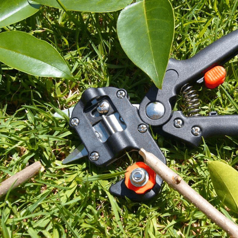 Grafting Tool Set Chrome-Plated Steel Omega U V Blades