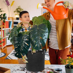 Grow Bag Breathable Felt With Handles 3 Gallon