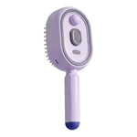 Hair Care Comb Red Light & Spray Functions