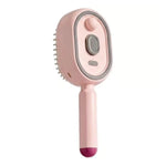 Hair Care Comb Red Light & Spray Functions