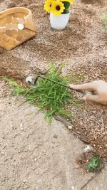 Hand Weeder Crescent Head Manganese Steel Ergonomic Handle