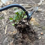 Hand Weeder Crescent Head Manganese Steel Ergonomic Handle