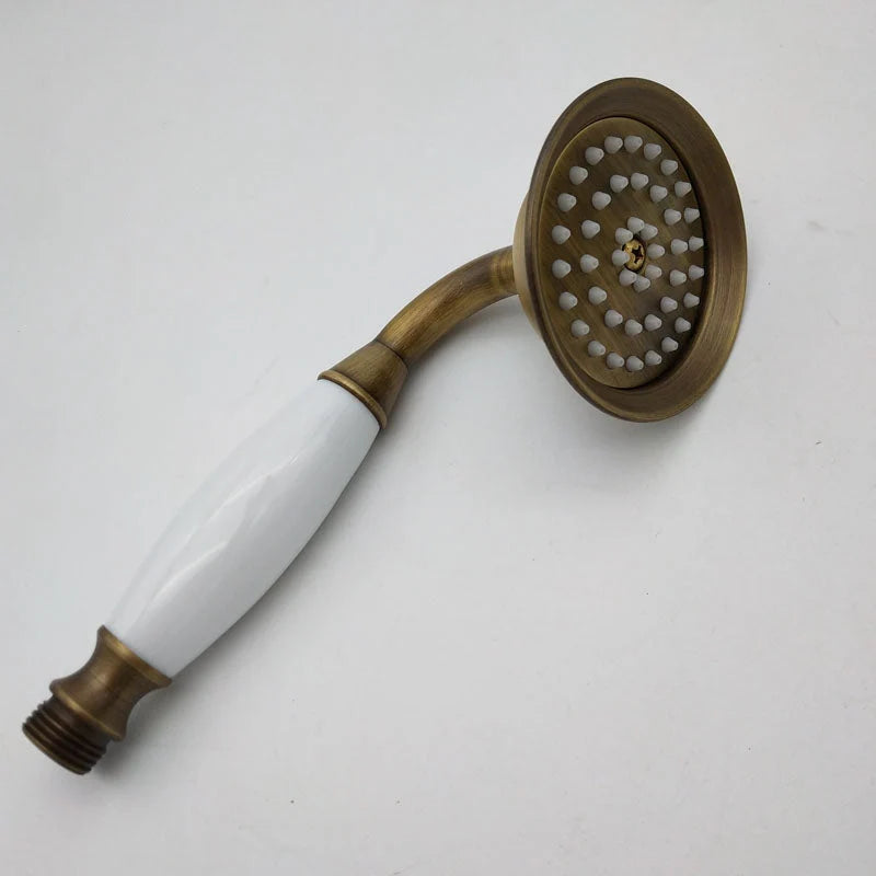 Handheld Showerhead Wall Mounted Swivel Rust Resistant Metal
