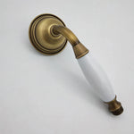 Handheld Showerhead Wall Mounted Swivel Rust Resistant Metal