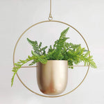 Hanging Planter Metal With Chain Indoor & Outdoor