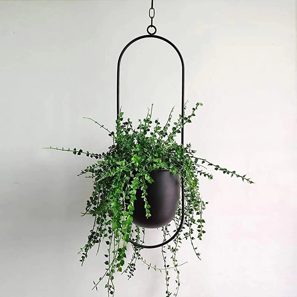 Hanging Planter Metal With Chain Indoor & Outdoor