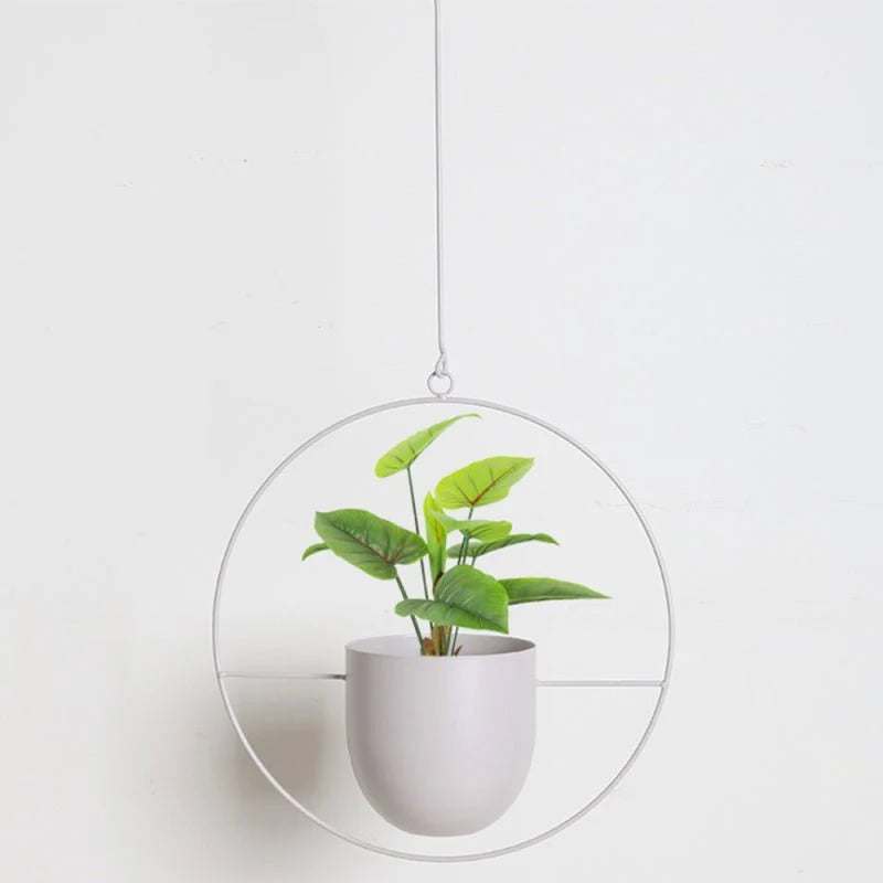 Hanging Planter Metal With Chain Indoor & Outdoor