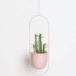 Hanging Planter Metal With Chain Indoor & Outdoor