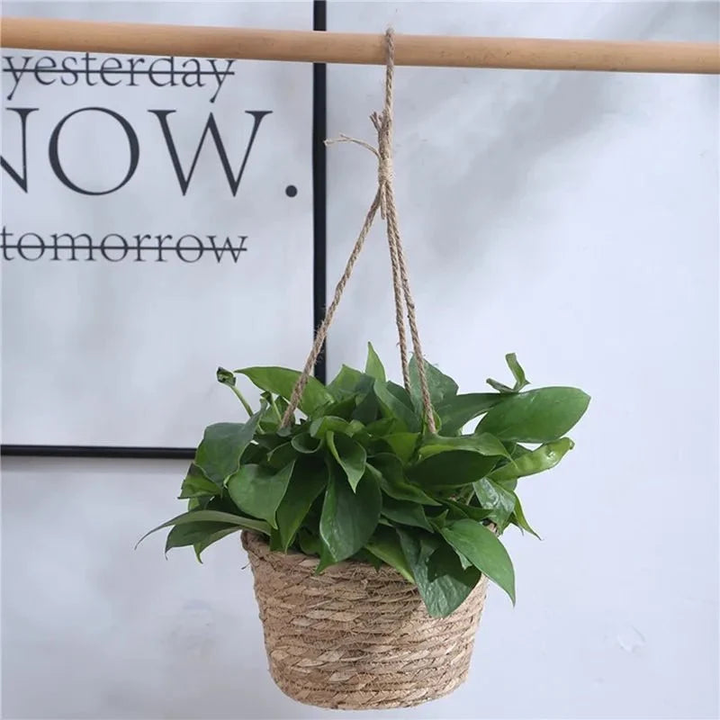 Hanging Planter Natural Jute Space-Saving Display