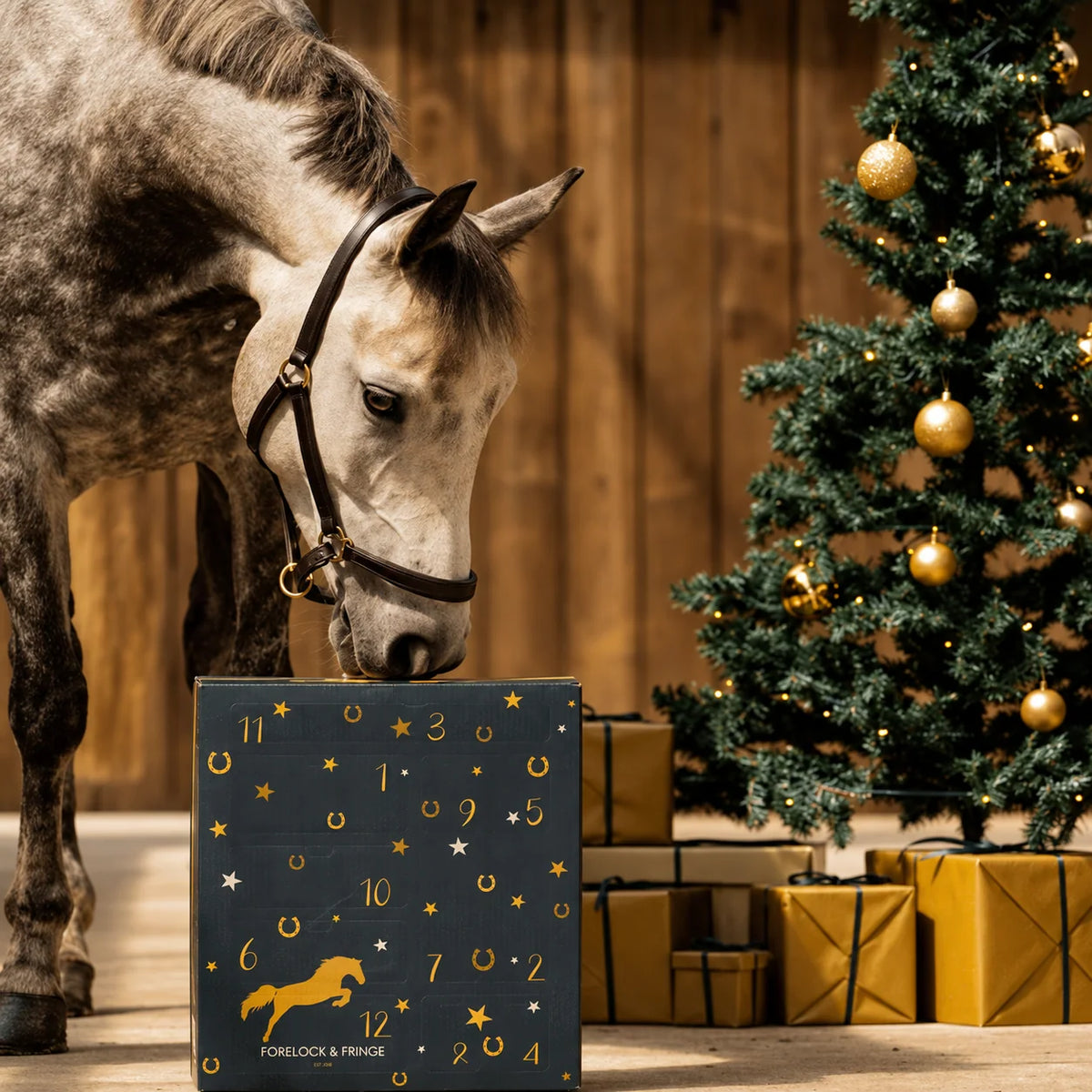 Horse Advent Calendar 24-Day Countdown Grooming Tools & Keepsakes