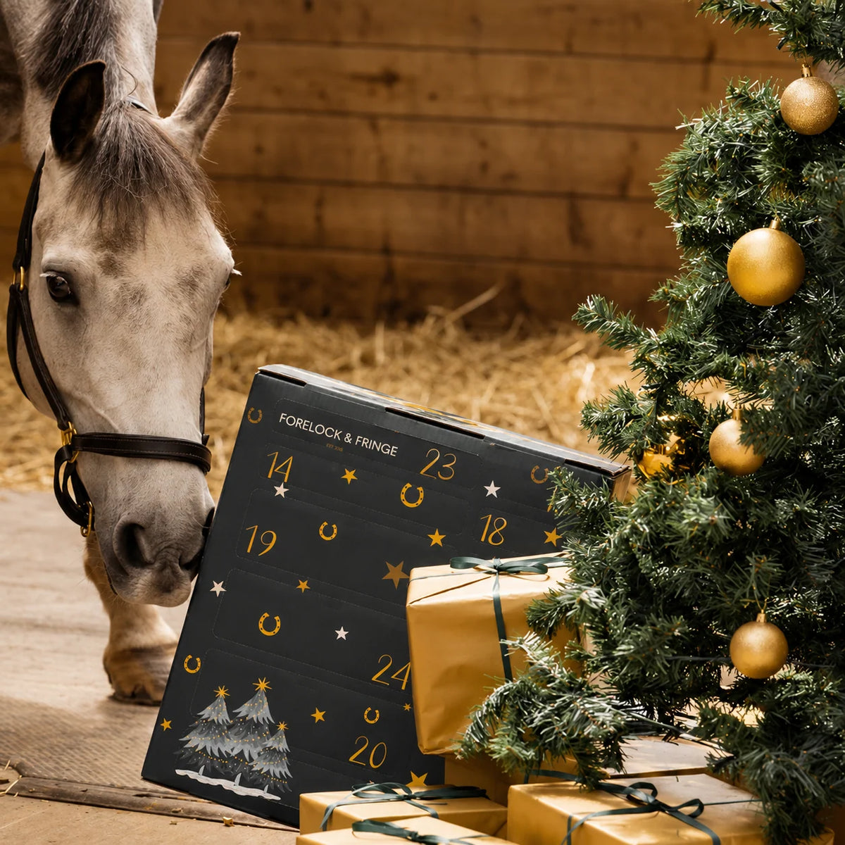 Horse Advent Calendar 24-Day Countdown Grooming Tools & Keepsakes