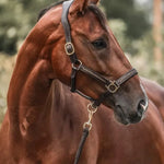 Horse Advent Calendar 24-Day Countdown Grooming Tools & Keepsakes