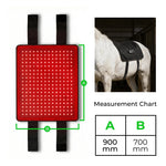 Horse Back Wrap LED Red Light Rechargeable Cordless