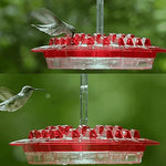 Hummingbird Feeder Ant-Proof & Bee-Resistant 12 Oz