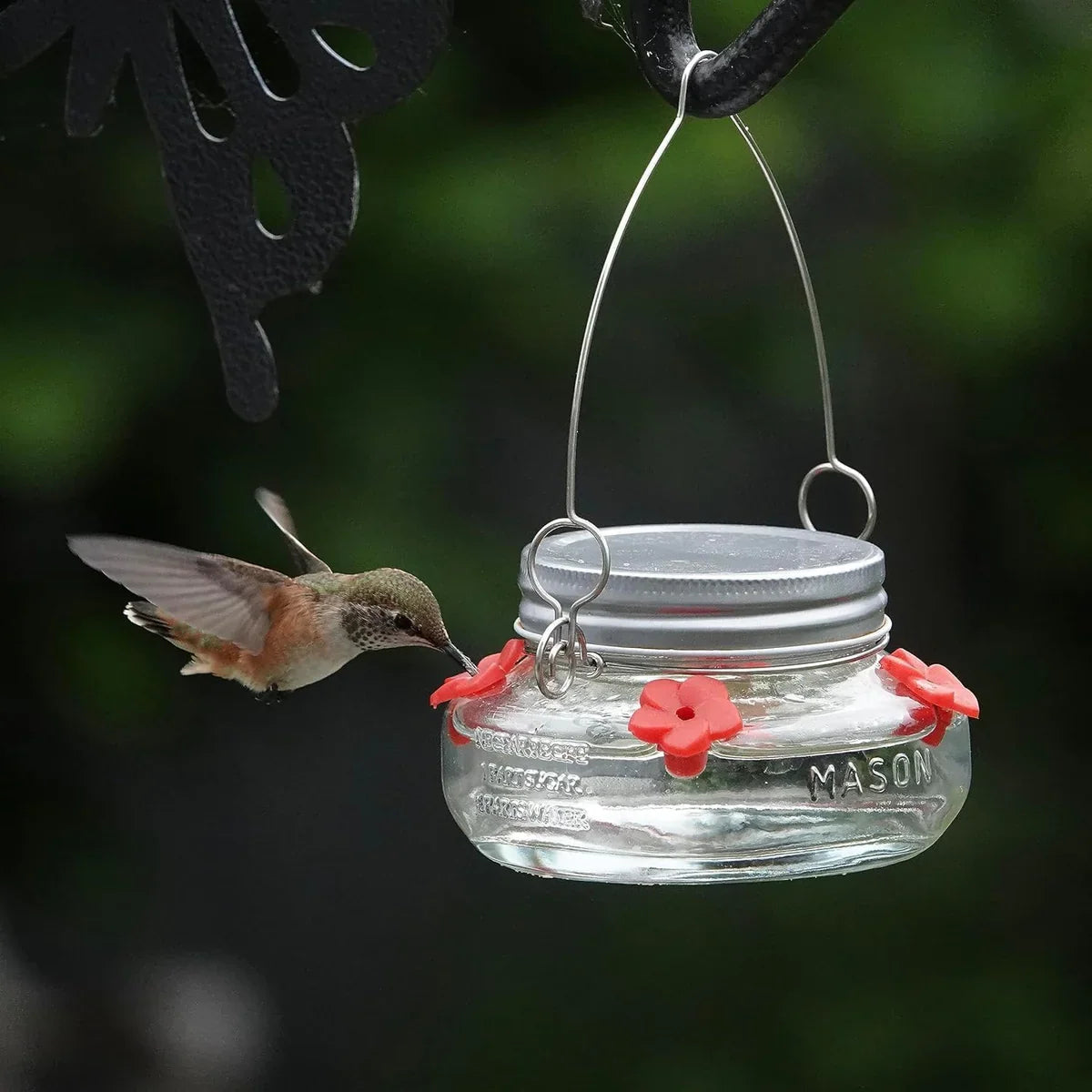 Hummingbird Feeder Clear Jar Four Ports Set of 2