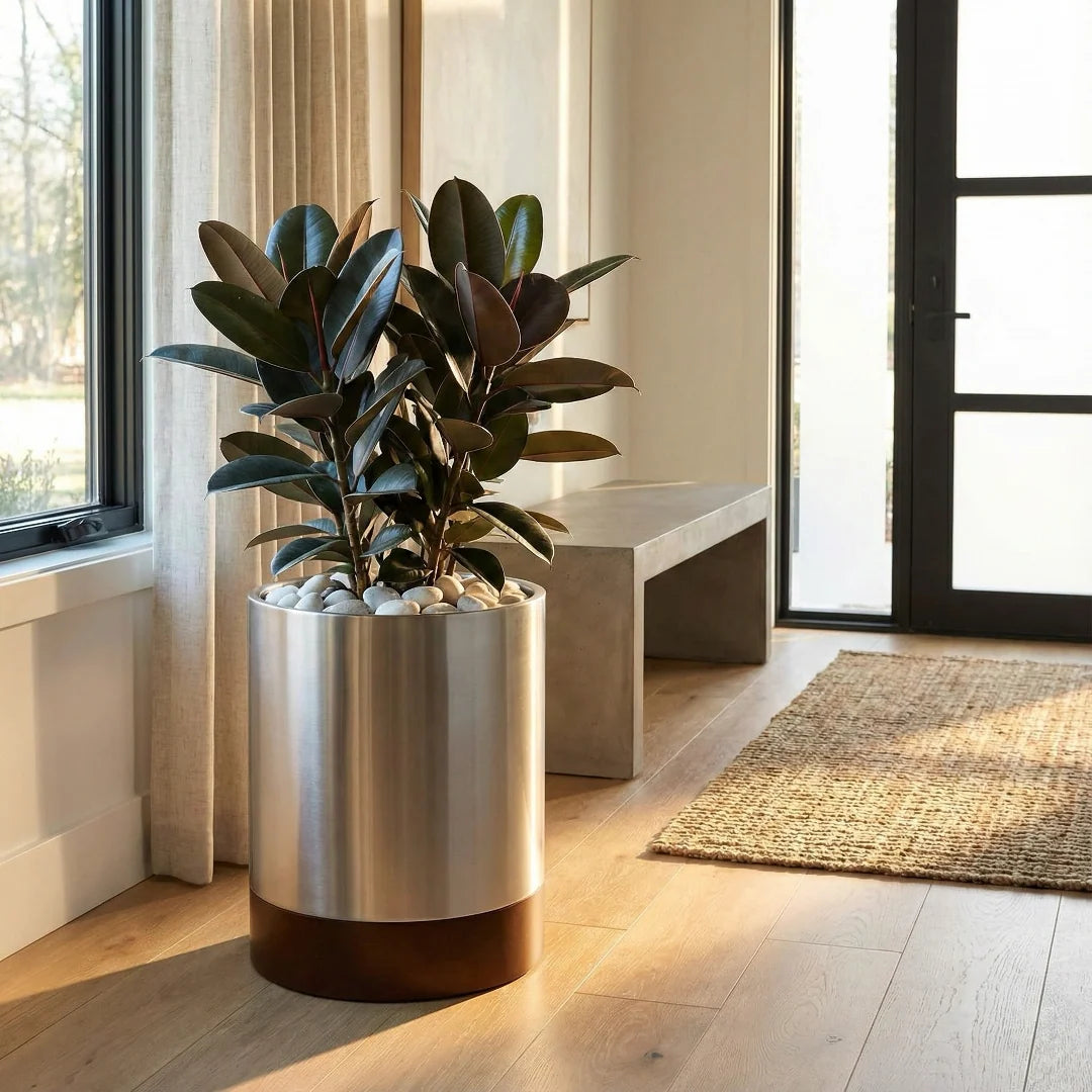 Indoor Planter Stainless Steel Hardwood Base