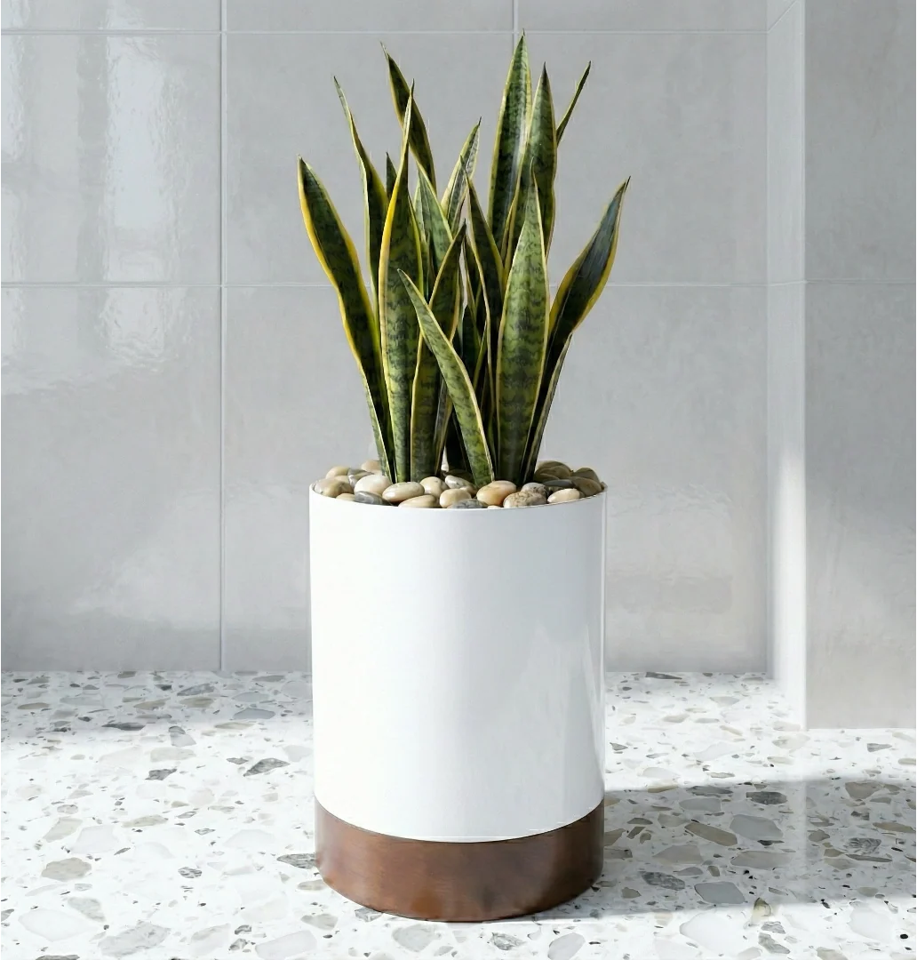 Indoor Planter Stainless Steel Walnut Base