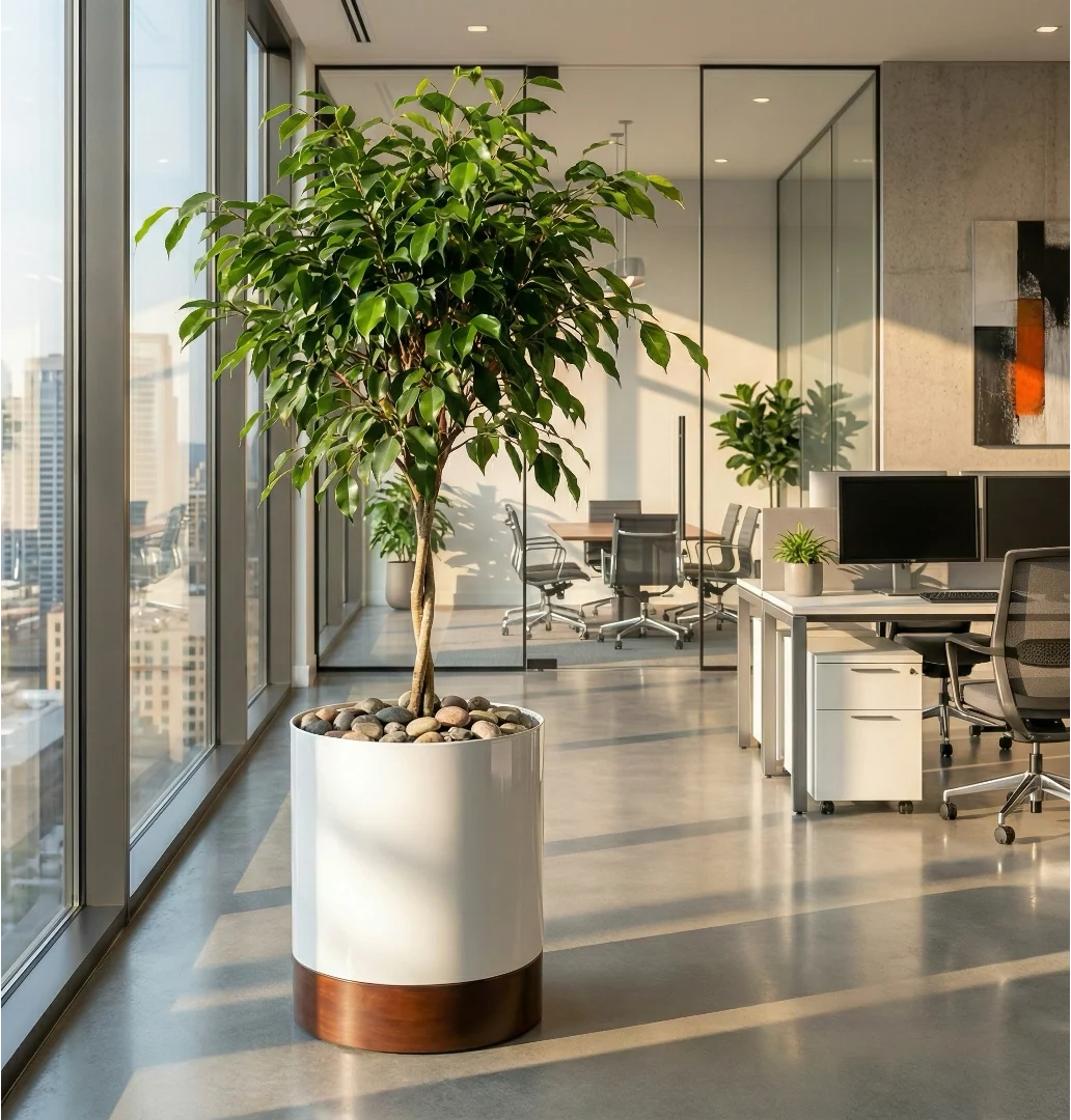 Indoor Planter Stainless Steel Walnut Base