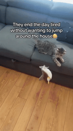 Interactive Plush Cat Toy Realistic Movement & USB Rechargeable