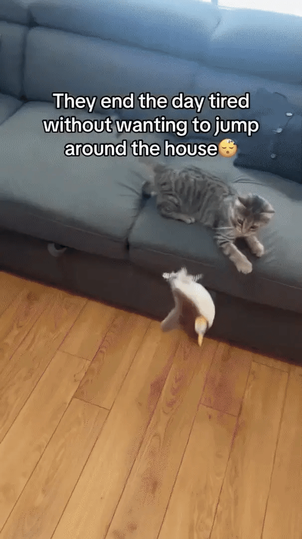 Interactive Plush Cat Toy Realistic Movement & USB Rechargeable