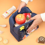 Kids Lunch Bag Insulated Wipe-Clean Lining Padded Handles
